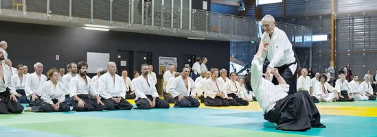  Dojo aïkido tradtionnel de Bourg-en-Bresse 